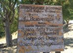 Bosco Ficuzza: idee per un weekend con i bambini in Sicilia